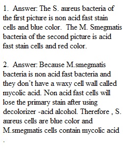 Group Work- Acid Fast Stain